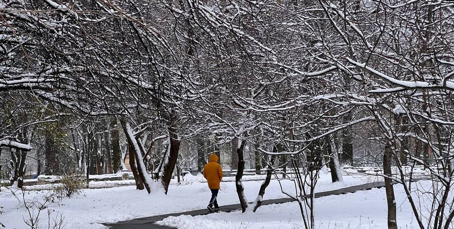 Погода, снег, зима