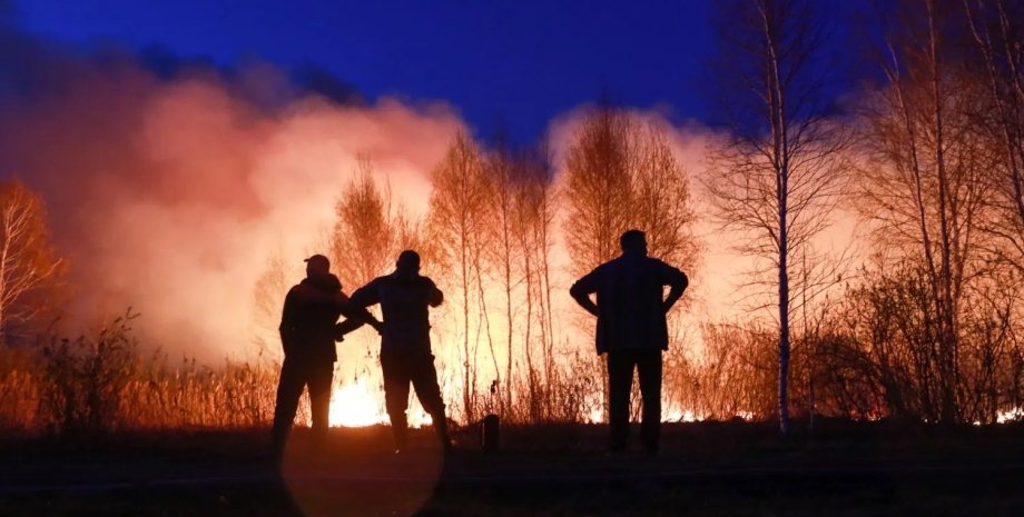 сибір, лісові пожежі, сибір у вогні, пожежі в росії, Красноярськ