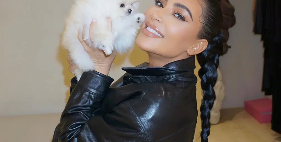 ким кардашьян шпиц, собаки ким кардашьян, гараж, ким кардашьян