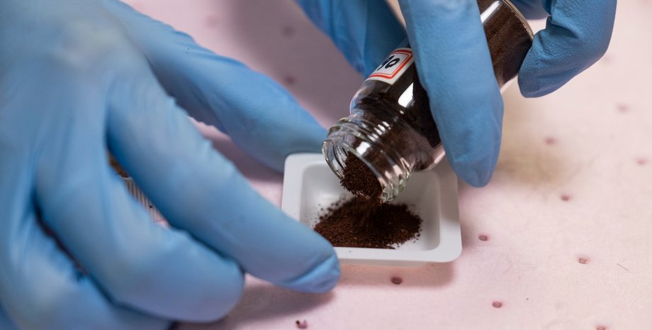 Белок, корм для животных, солнечная энергия, водород, фото