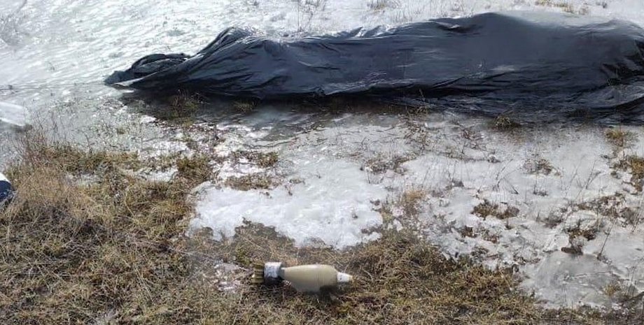 Воздушный шар, аэростстат, беспилотник, взрывчатка, оружие, фото