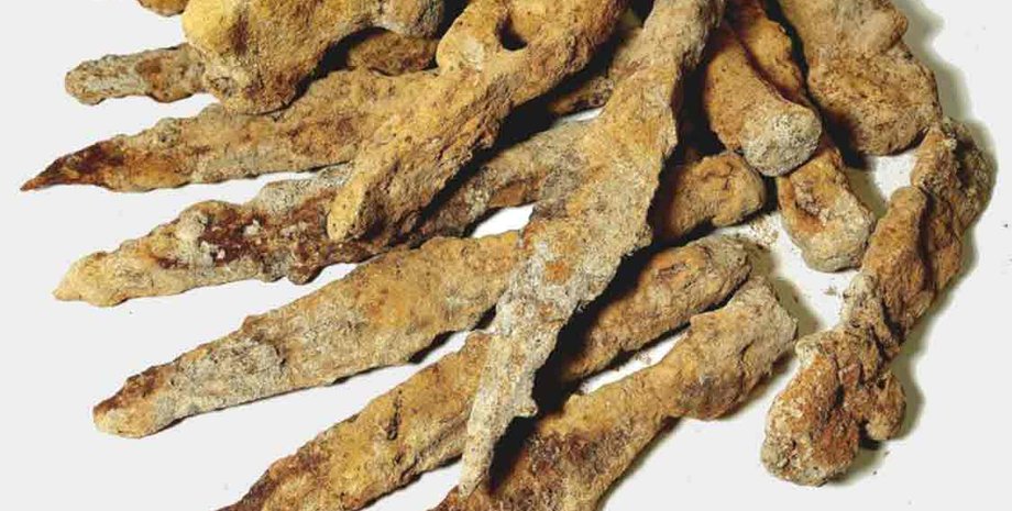 Археологічні знахідки, стародавня зброя, артефакти римської епохи, історія готського племені, зброя варварських племен, знахідки мисливців за скарбами, артефакти пшеворської культури, пізньоримські битви