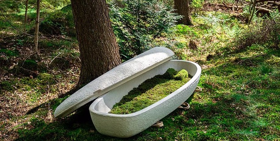 биоразлагаемый гроб