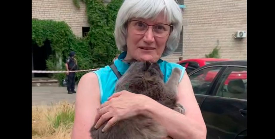 кот, спасение, обстрел днепра