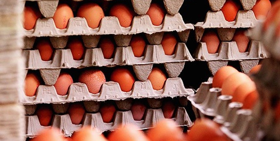 Фото: Getty Images/Fotobank