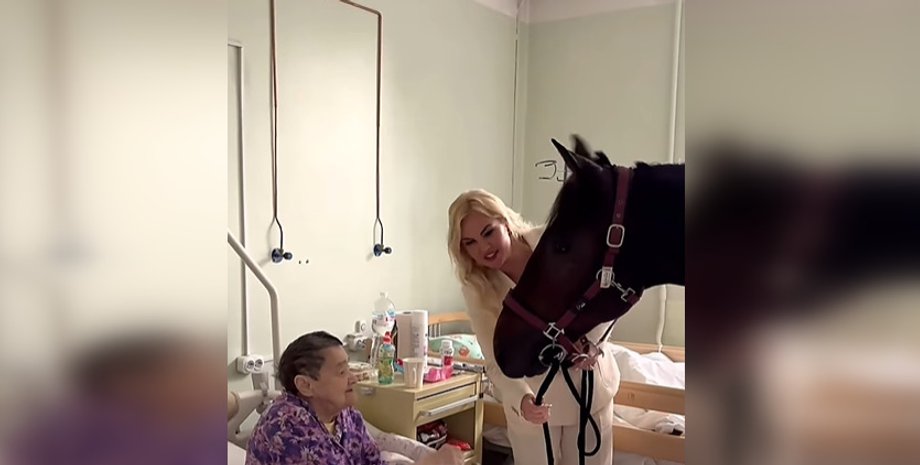 Камалія привела коня в лікарню