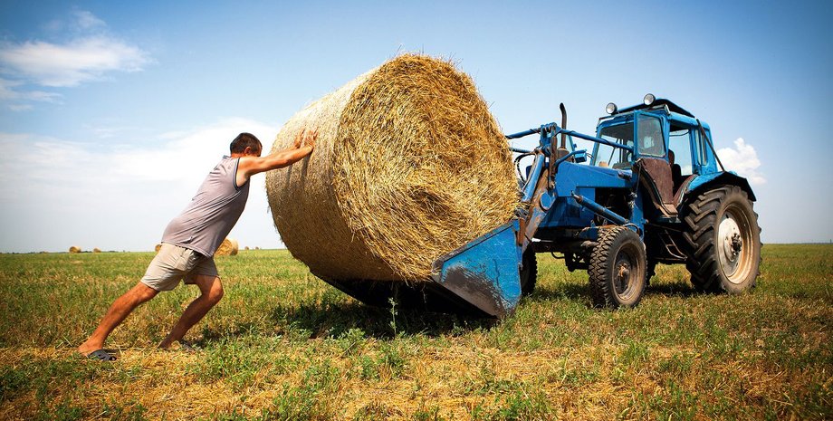 Фото: .zerno-ua.com