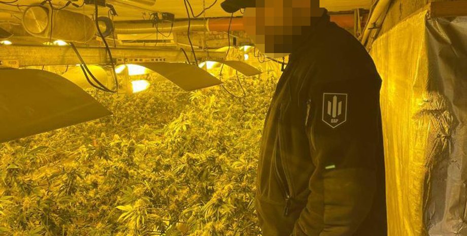 нарколаборатория, обыски ГБР, наркотики, конопля