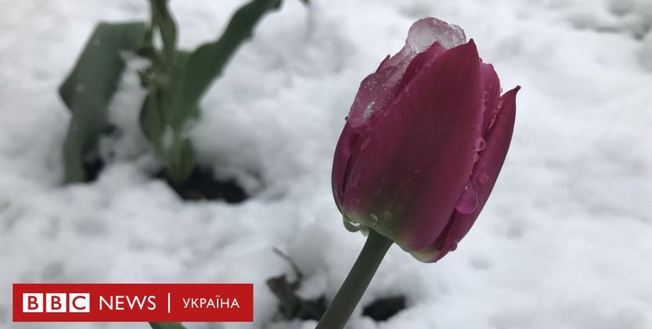 снег весной