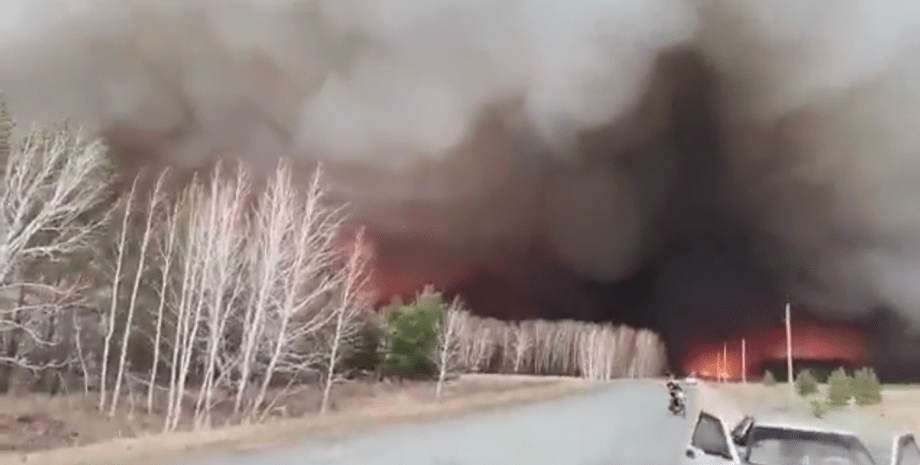Сибір лісові пожежі спалах НП рятувальники військовослужбовці