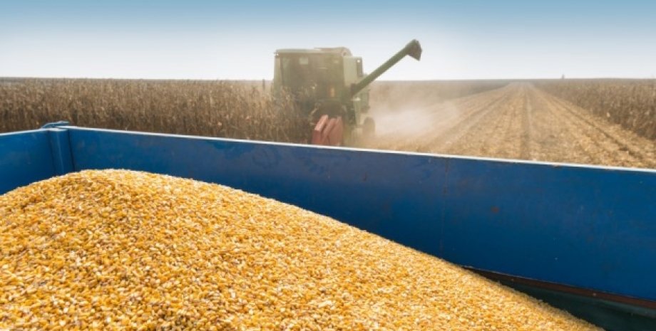 Украинское зерно зерно, украинское зерно, разгрузка зерна