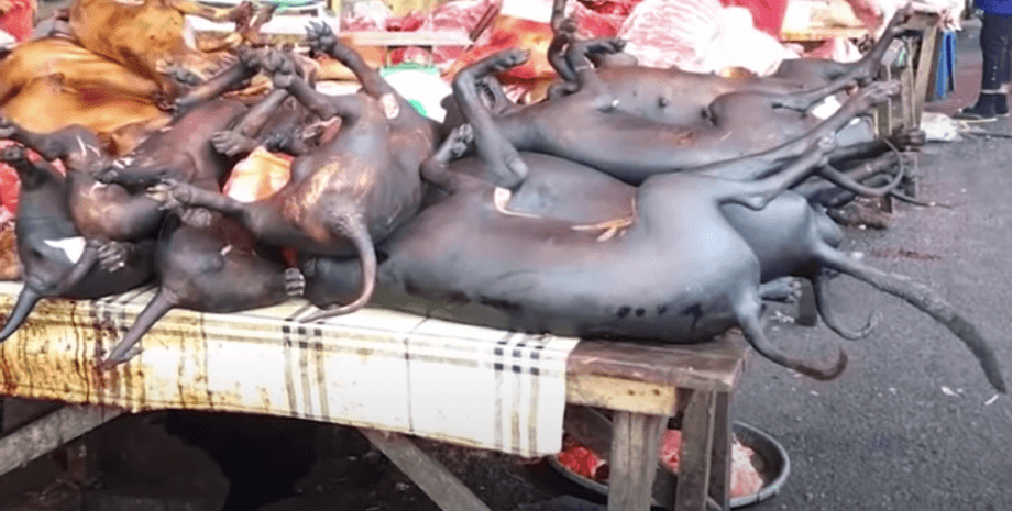 хуанань, рынок, коронавирус, Китай, Ухань