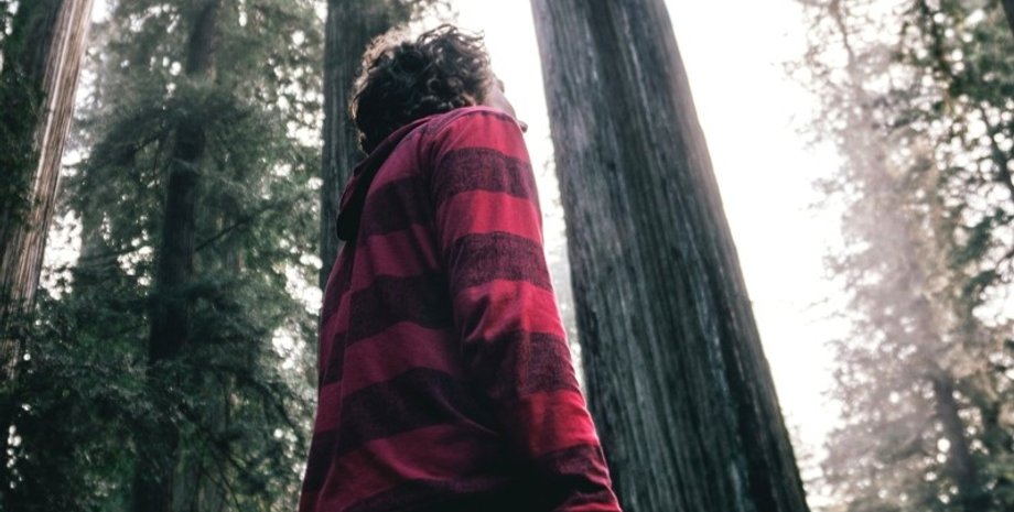 ріст, рак, ризик розвитку раку, ріст і рак