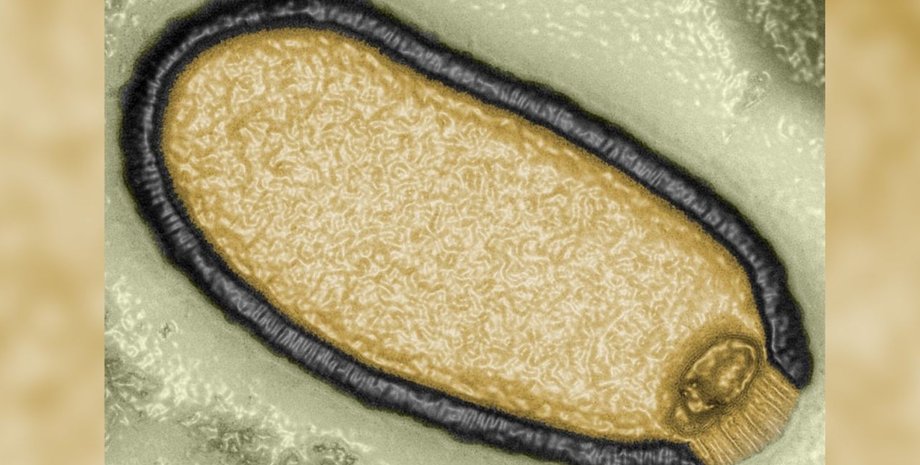 древний вирус