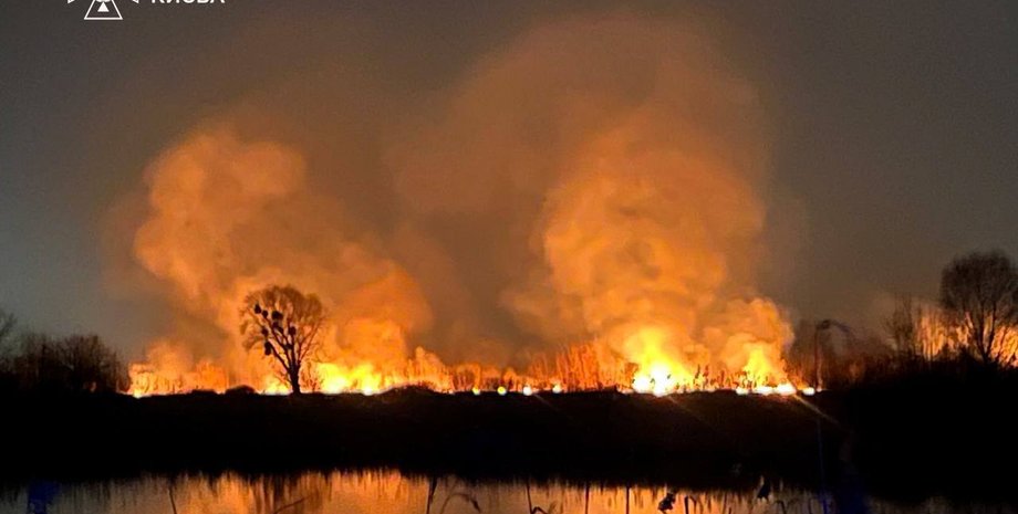 Київ, пожежа, Осокорки, фото