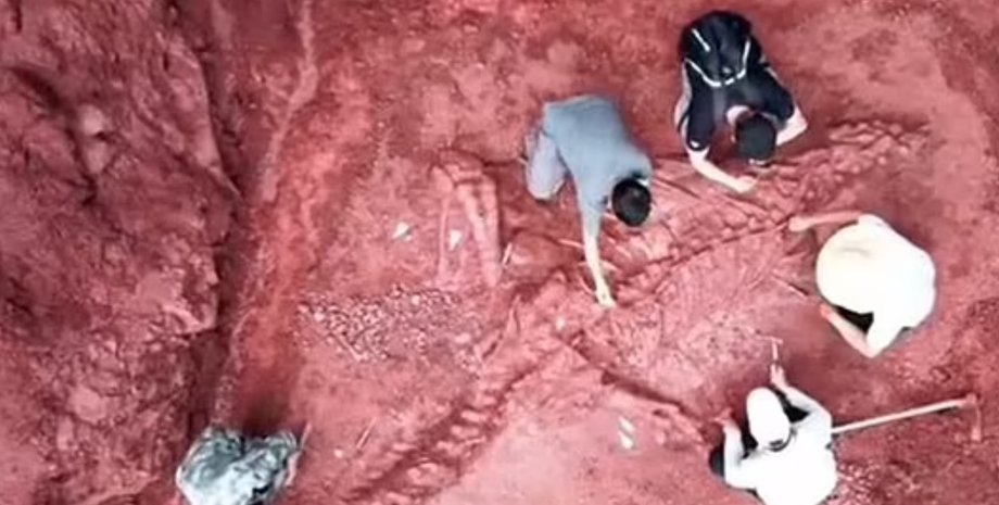 розкопки, динозавр, останки