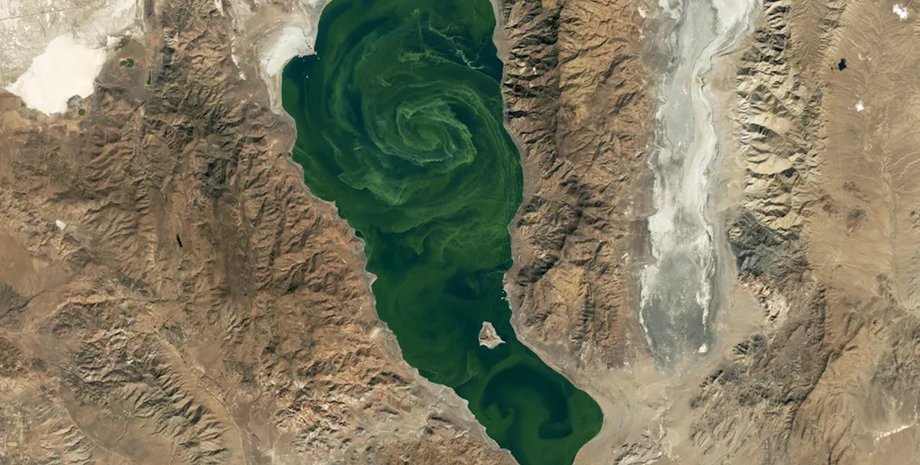 озеро Пирамид цветение цветение озеро пирамид