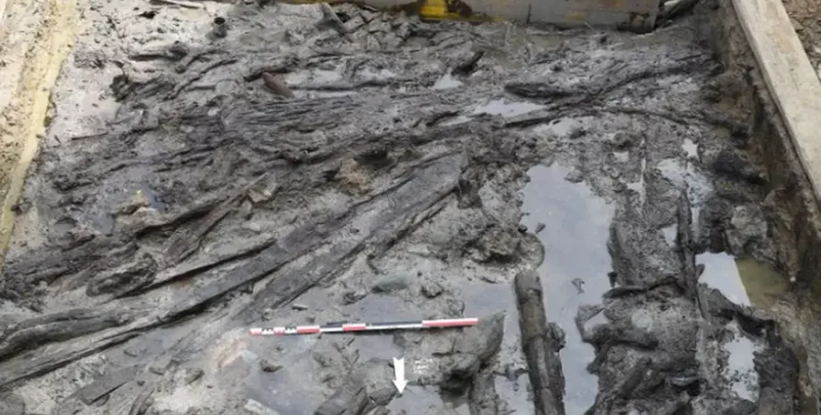 неолит, поселение, археология, археологи, дерево, раскопки, исследования, артефакт, находка, Ла-Драга, жилье, здание