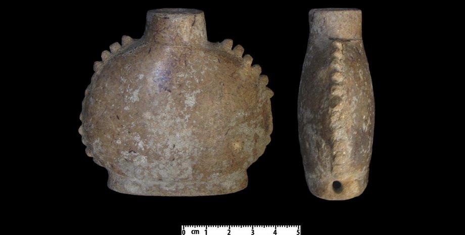 майя, рослини, судини, ліки