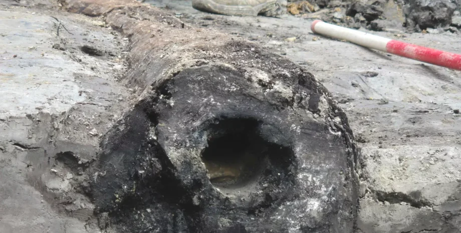 раскопки бельгия труба артефакт артефакт дерево археология археологи