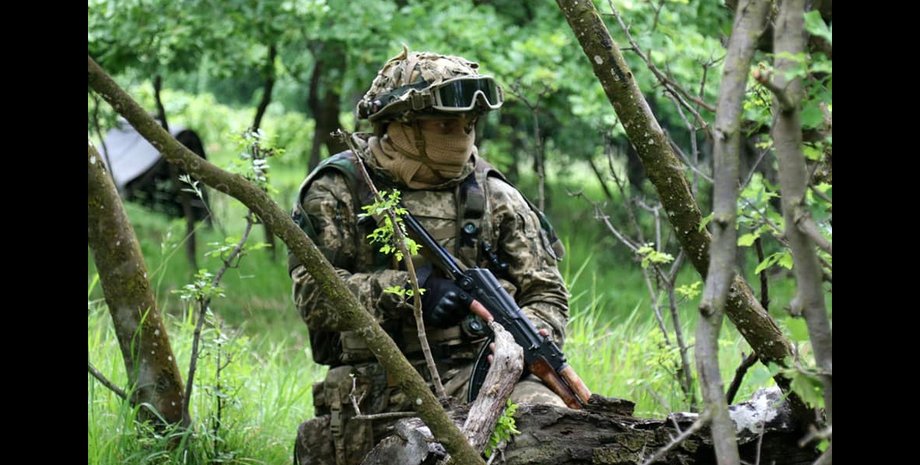 украинский десант в венгрии