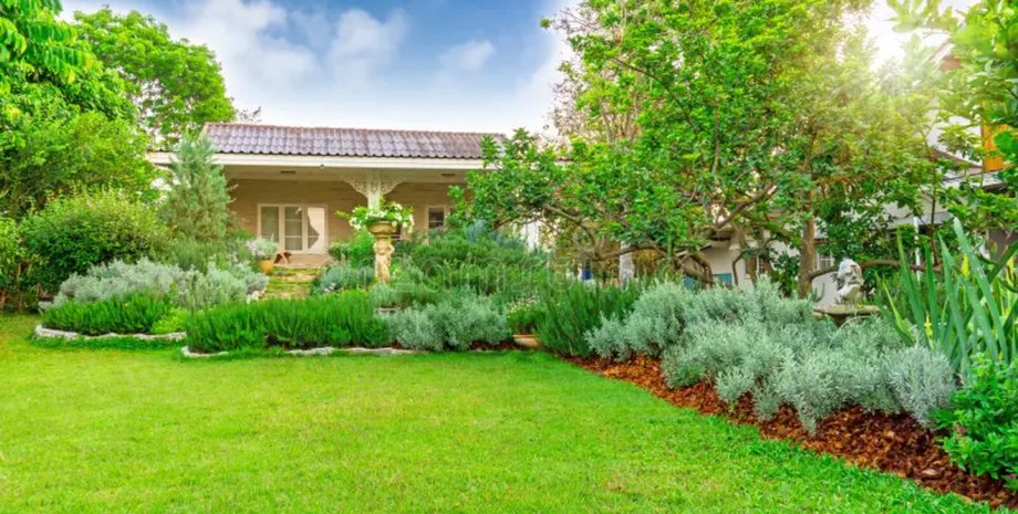 Дом с садом, сад, красный флаг, красивый дом, уютный дом, домашний сад, бамбуковый заросли, опасное растение, отказалась от покупки дома, дом мечты