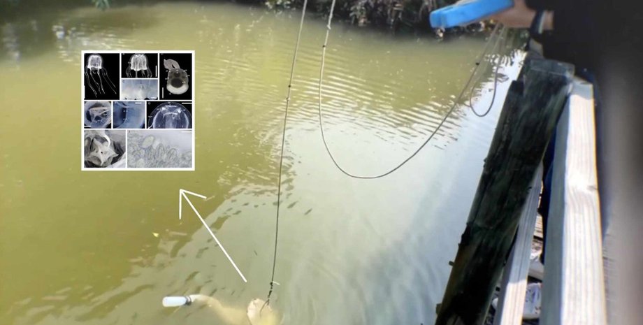 ставок гонконг гонконг ставок