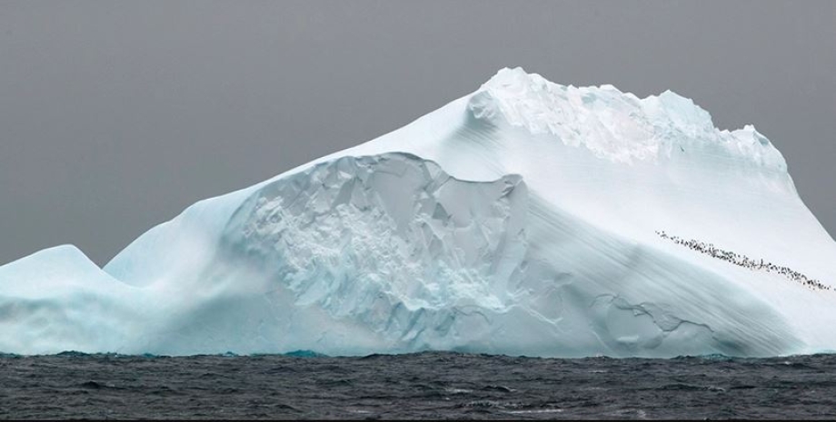 море Скоша, антарктида, антарктика, айсберг, полярные льды, древние льды, древняя ДНК, ДНК в Антарктиде, замороженные формы жизни в Антарктиде