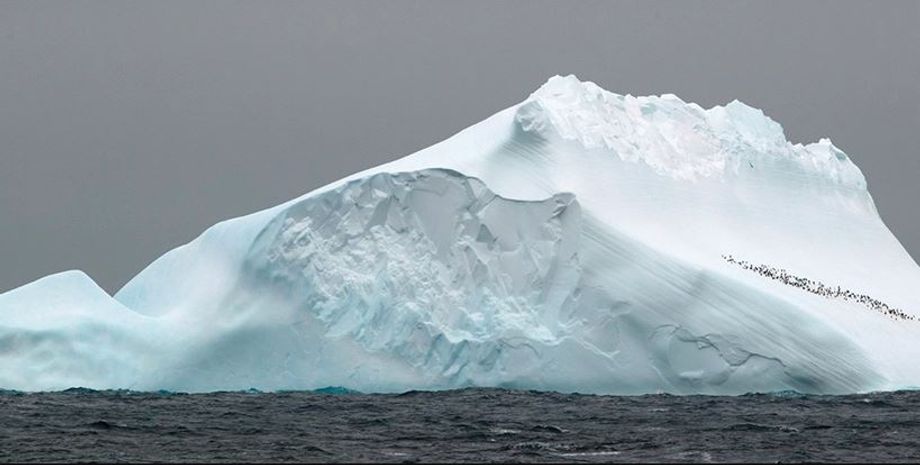 Антарктика