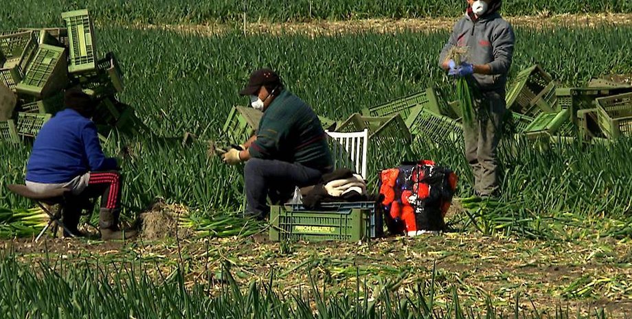 Фото: ooe.orf.at