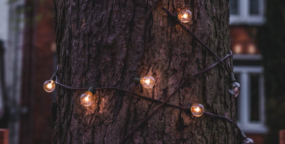 Дерево, ламкочки