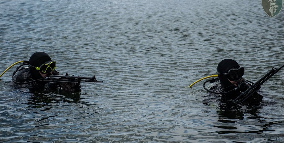 боевые пловцы, спецназ, морские котики, украина, море