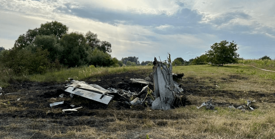 место авиакатастрофы в Житомирской области, разбитый самолет, обломки самолета