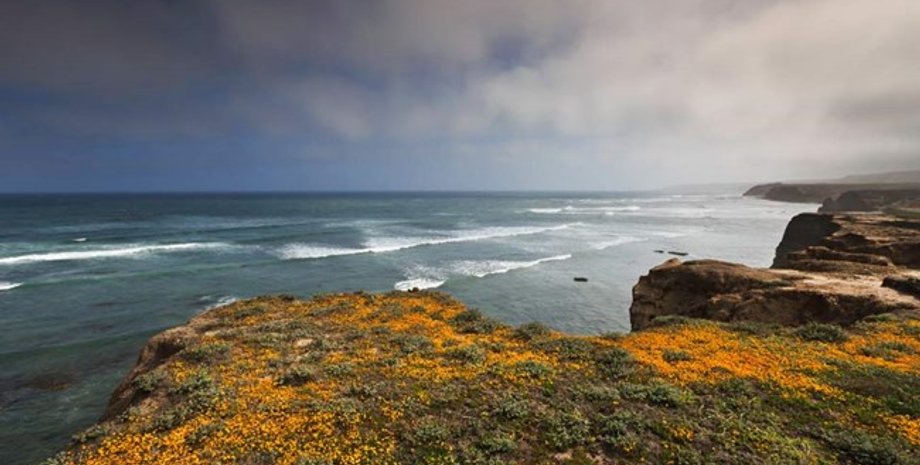 Место раскопок, человек с Арлингтон-Спринг, археология