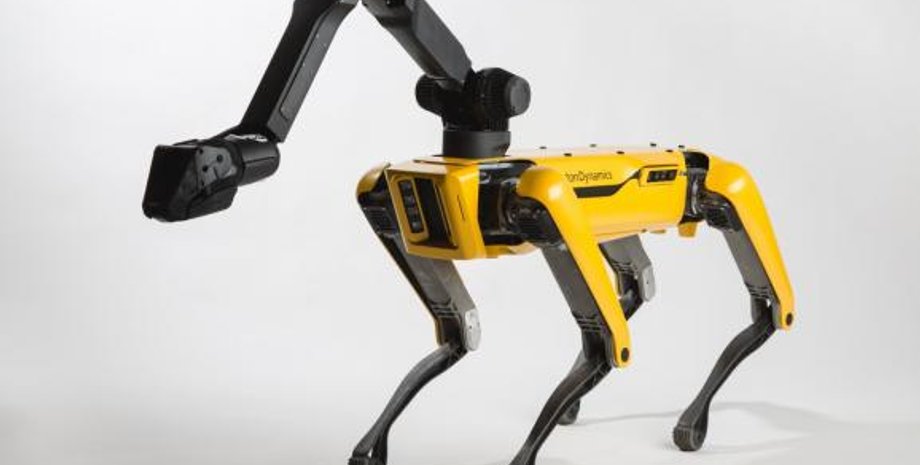 Фото: bostondynamics