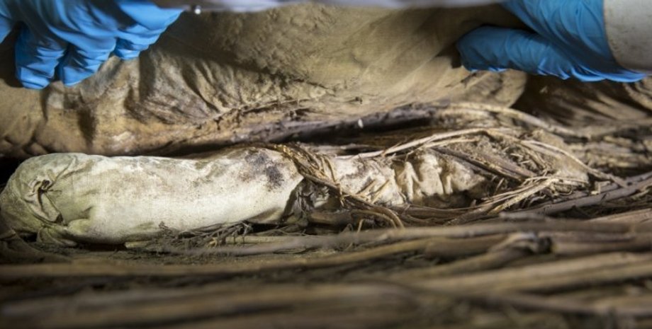 згорток, останки, ембріон, вчені, фото