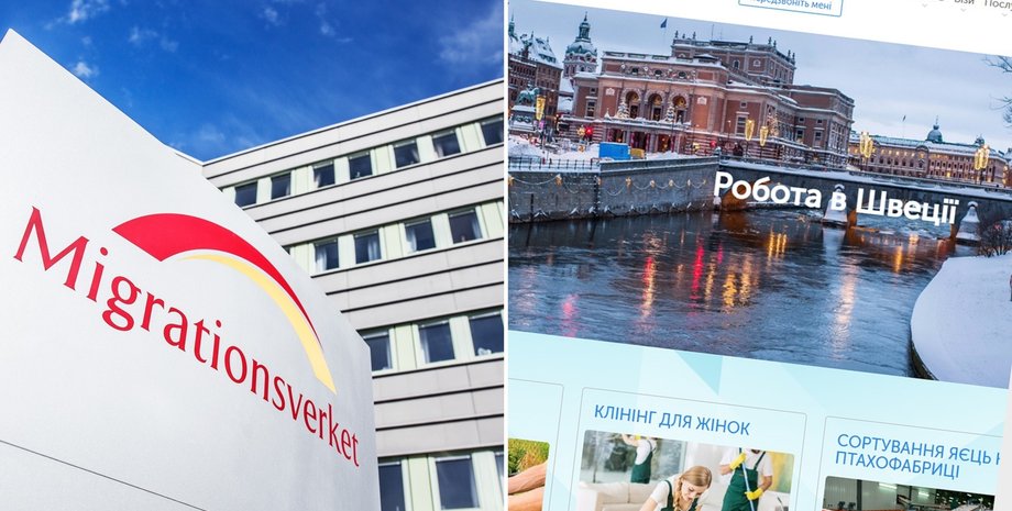 Швеция, трудоустройство, убежище, лазейка