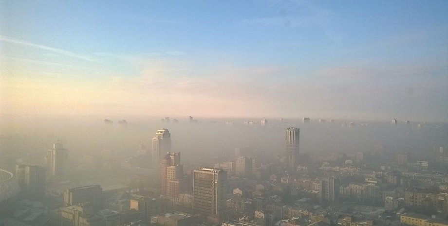 Фото: Вести