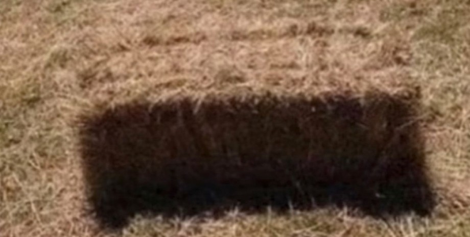 Оптическая иллюзия Оптическая иллюзия, игры разума, сене, тень, яма, яма в земле, вирусное видео, соцсети, курьезы, загадка, головоломка