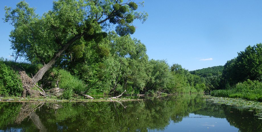 Фото: из личных архивов