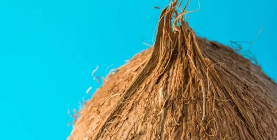 Ви можете бути здивовані, дізнавшись, що неможливо зачесати волосся кокоса, не створивши при цьому чубок кокос, теорема про волохатий м'яч