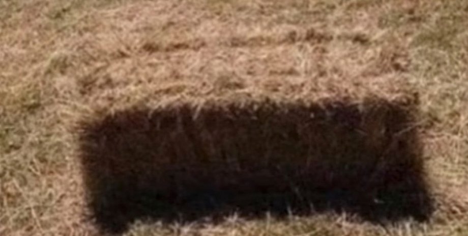 Оптична ілюзія, ігри розуму, сіно, тінь, яма, яма в землі, вірусне відео, соцмережі, курйози, загадка, головоломка