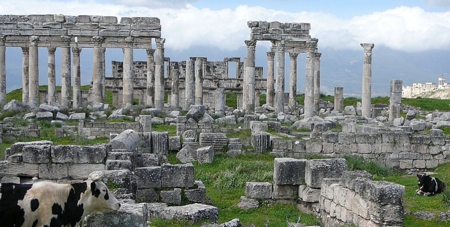 La ciudad de Apameya, un gran monumento arqueológico de Siria, se convirtió en u...