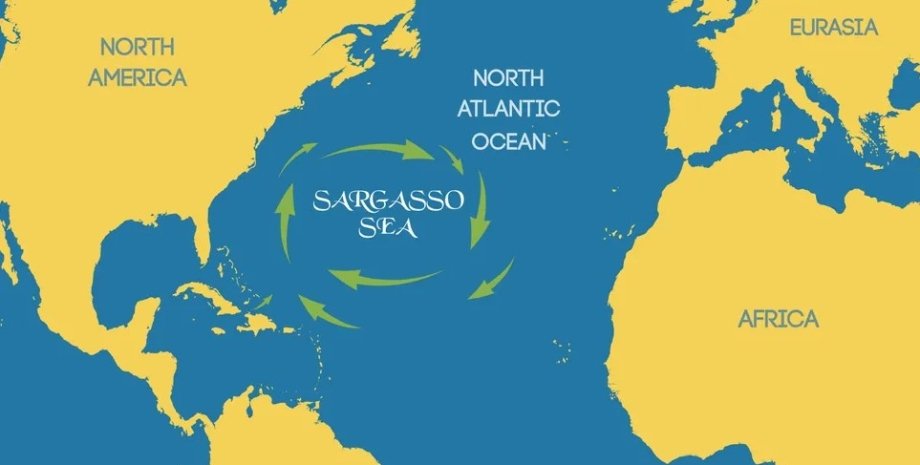 Саргассово море стало кислее и солонее саргассово море, бермудские острова