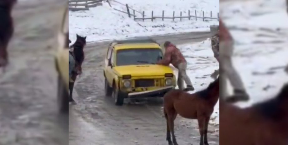 война рф против украины, война в украине, нападение, тцк и сп, избиение, конь, топор