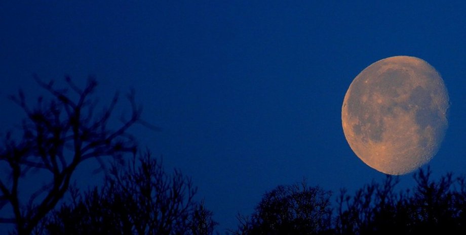 Фото: anastgal.livejournal.com