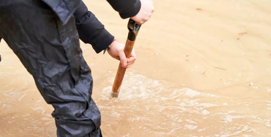 Дівчина знайшла каблучку, мисливиця за скарбами Джейн, прикраси, курйози