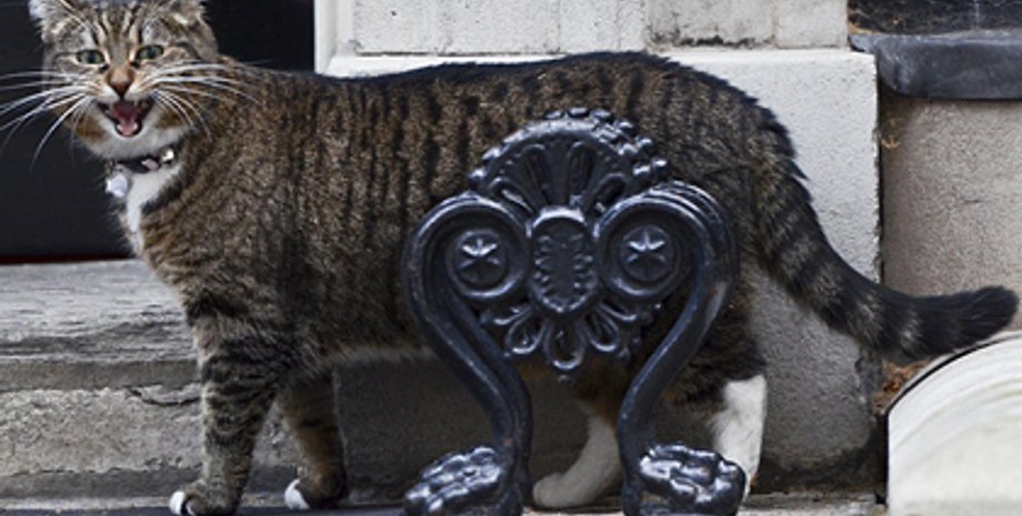 Фото: Steve Back / Rex Features / FOTODOM.RU