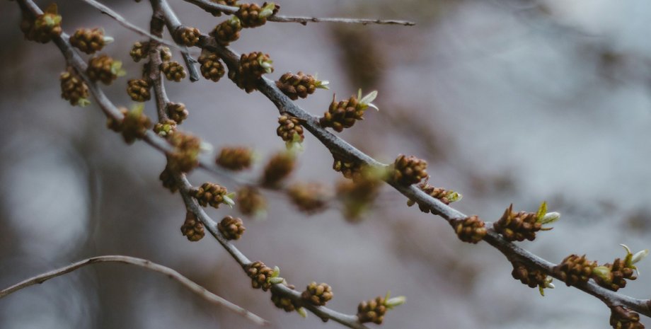 Погода, прогноз погоды, погода на неделю, прогноз погоды на неделю