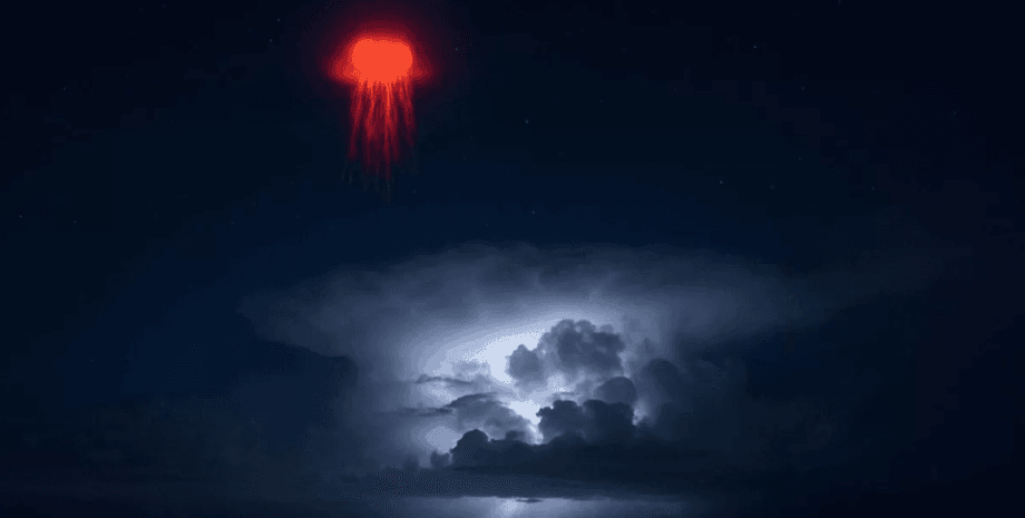 После шторма в океане появились "красные медузы": сеть взорвалась теориями